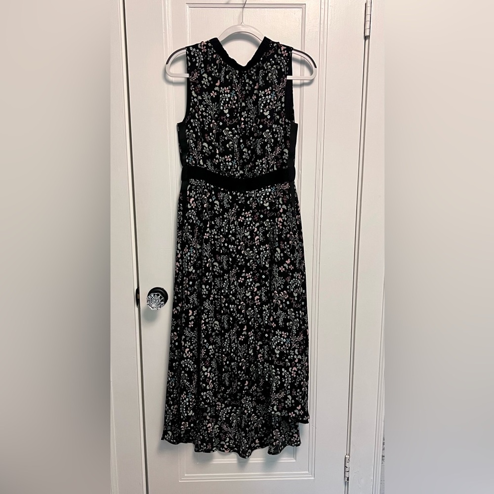 Ted Baker London Black Floral Midi Dress